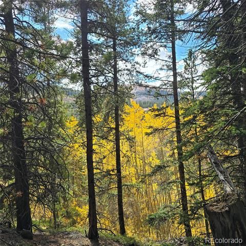 5347 Monitor Lode Claims, Leadville, CO 80461