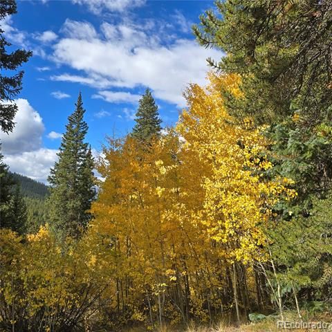 5347 Monitor Lode Claims, Leadville, CO 80461