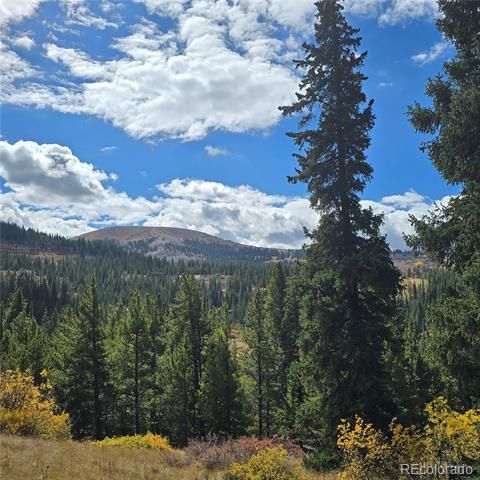 5347 Monitor Lode Claims, Leadville, CO 80461