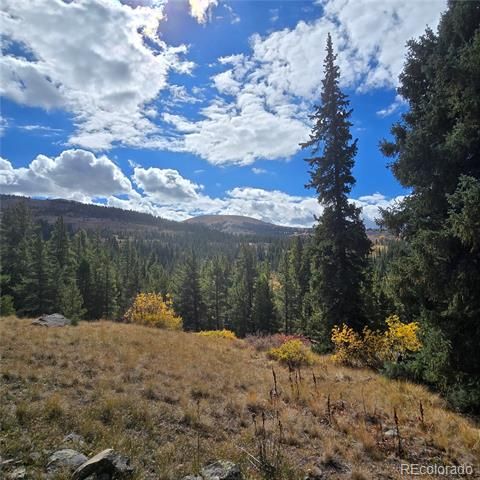 5347 Monitor Lode Claims, Leadville, CO 80461