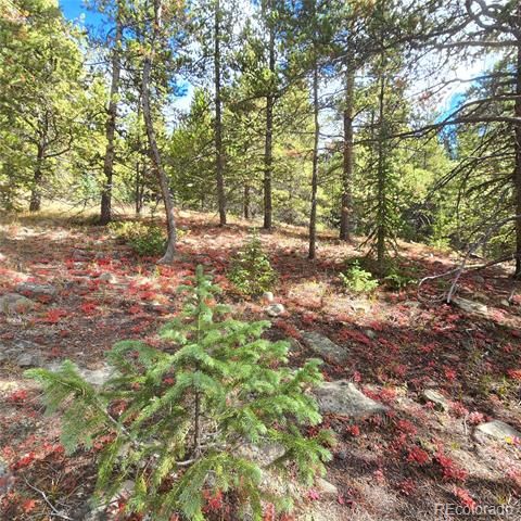 5347 Monitor Lode Claims, Leadville, CO 80461