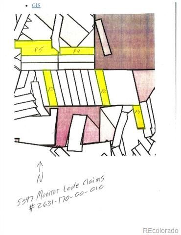 5347 Monitor Lode Claims, Leadville, CO 80461