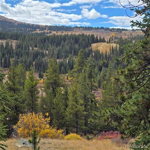 5347 Monitor Lode Claims, Leadville, CO 80461