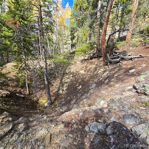 5347 Monitor Lode Claims, Leadville, CO 80461