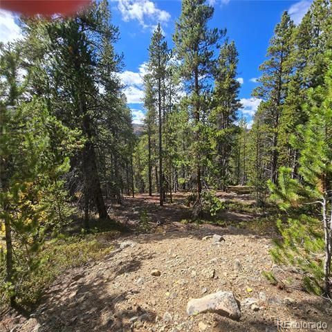 5347 Monitor Lode Claims, Leadville, CO 80461