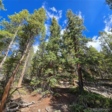 5347 Monitor Lode Claims, Leadville, CO 80461