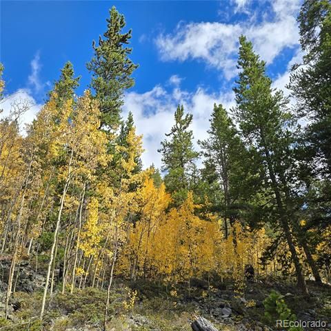5347 Monitor Lode Claims, Leadville, CO 80461