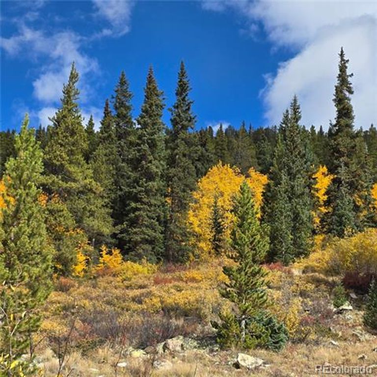 5347 Monitor Lode Claims, Leadville, CO 80461