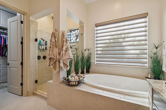 29118 PICANA LANE, Wesley Chapel, FL 33543