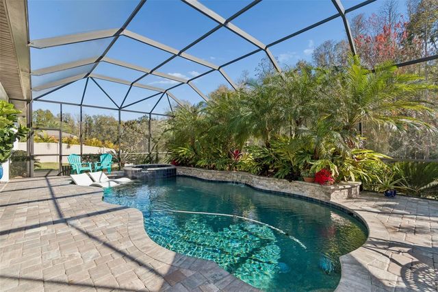 29118 PICANA LANE, Wesley Chapel, FL 33543