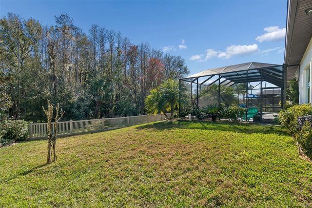 29118 PICANA LANE, Wesley Chapel, FL 33543