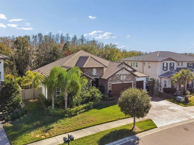 29118 PICANA LANE, Wesley Chapel, FL 33543