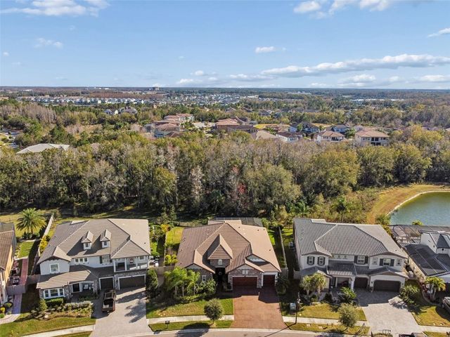 29118 PICANA LANE, Wesley Chapel, FL 33543