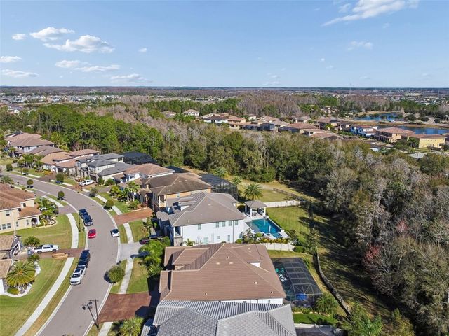 29118 PICANA LANE, Wesley Chapel, FL 33543