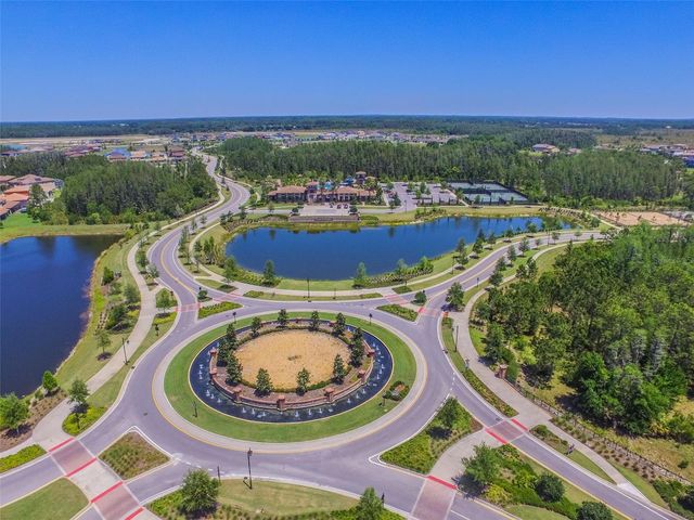 29118 PICANA LANE, Wesley Chapel, FL 33543