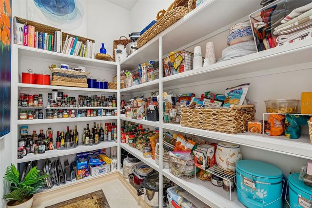 29118 PICANA LANE, Wesley Chapel, FL 33543