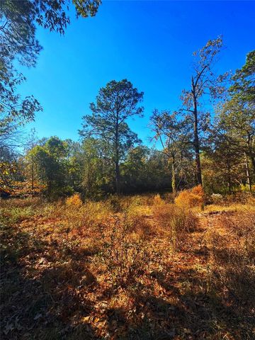 1405 May Drive, Onalaska, TX 77360