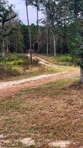 1405 May Drive, Onalaska, TX 77360