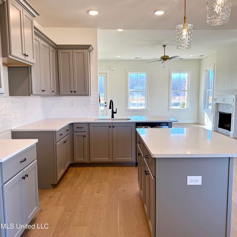 493 Sunflower Street, Nesbit, MS 38651