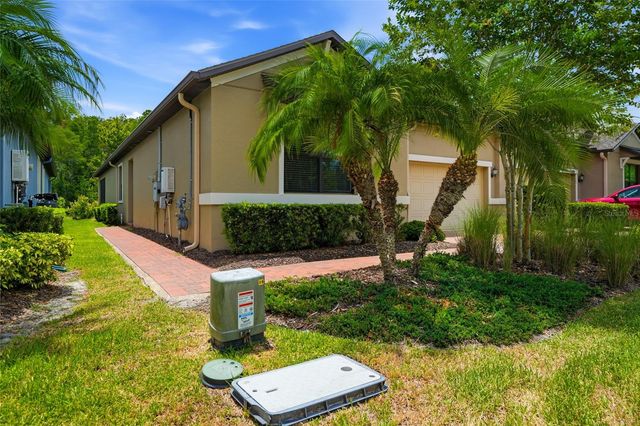 16952 BALANCE COVE, Land O Lakes, FL 34638