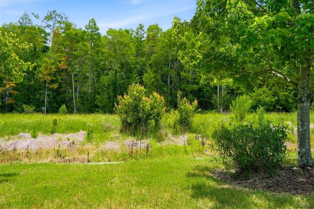 16952 BALANCE COVE, Land O Lakes, FL 34638