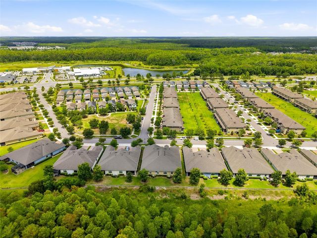 16952 BALANCE COVE, Land O Lakes, FL 34638