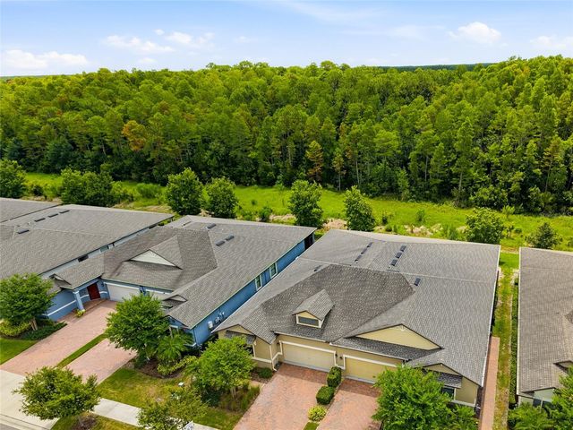 16952 BALANCE COVE, Land O Lakes, FL 34638