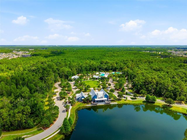 16952 BALANCE COVE, Land O Lakes, FL 34638