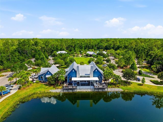 16952 BALANCE COVE, Land O Lakes, FL 34638
