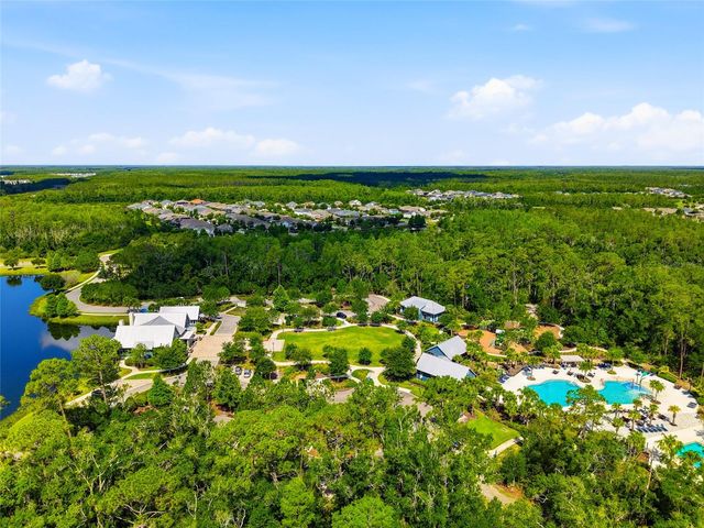 16952 BALANCE COVE, Land O Lakes, FL 34638