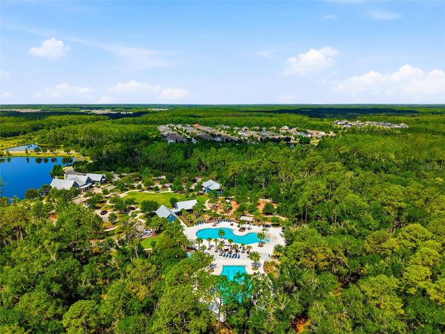 16952 BALANCE COVE, Land O Lakes, FL 34638