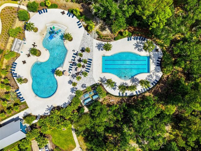16952 BALANCE COVE, Land O Lakes, FL 34638