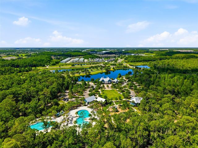 16952 BALANCE COVE, Land O Lakes, FL 34638