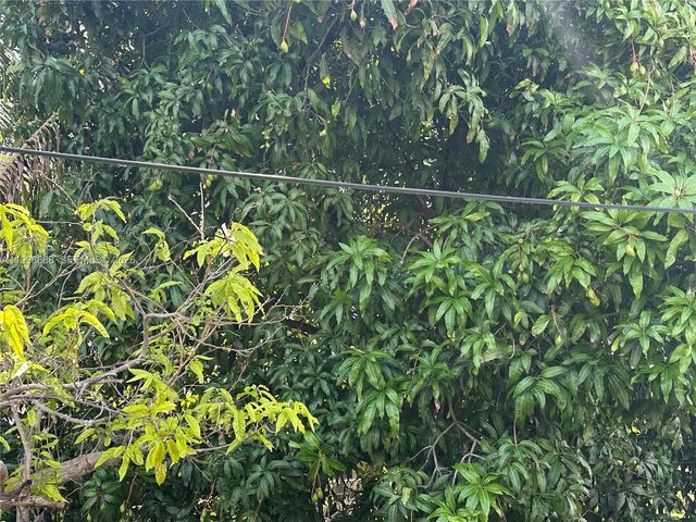 900 NW 75th St, Miami, FL 33150