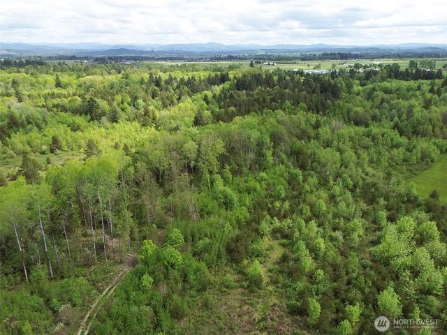 236 Gray Road, Toledo, WA 98591
