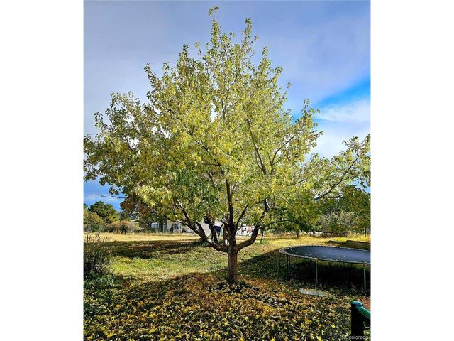 16435 Fairchild Ave, Monument, CO 80132