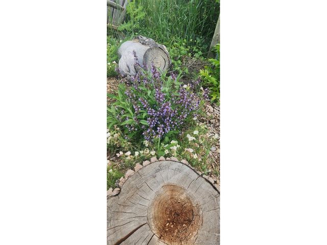 16435 Fairchild Ave, Monument, CO 80132