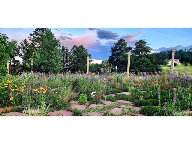 16435 Fairchild Ave, Monument, CO 80132