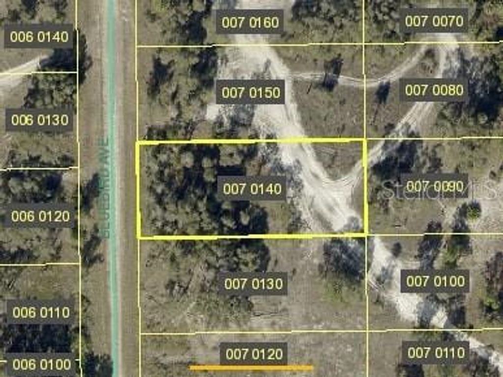 725 BLUEBIRD AVENUE, Lehigh Acres, FL 33974