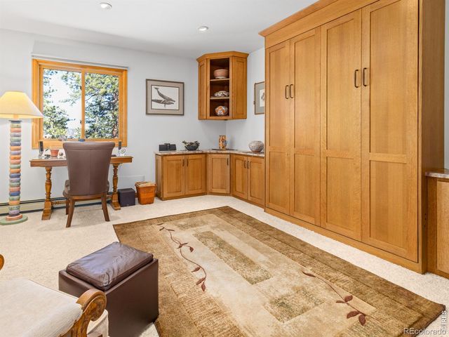 895 Elk Meadow Court, Estes Park, CO 80517