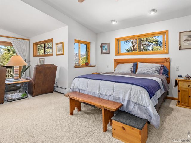 895 Elk Meadow Court, Estes Park, CO 80517