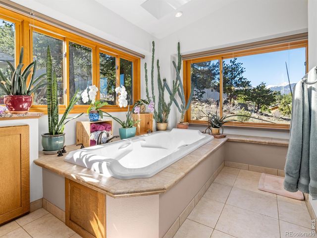 895 Elk Meadow Court, Estes Park, CO 80517