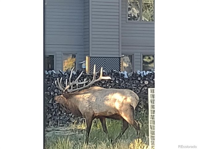 895 Elk Meadow Court, Estes Park, CO 80517