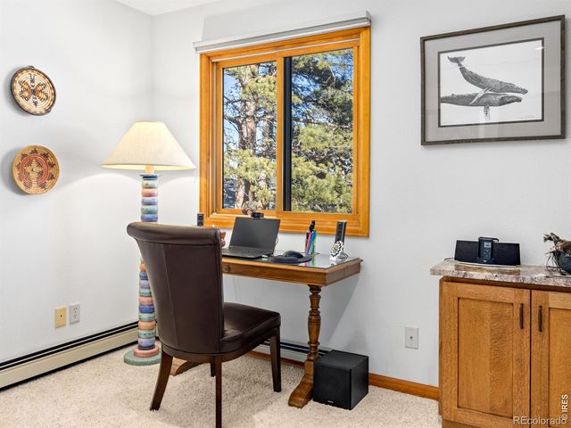 895 Elk Meadow Court, Estes Park, CO 80517