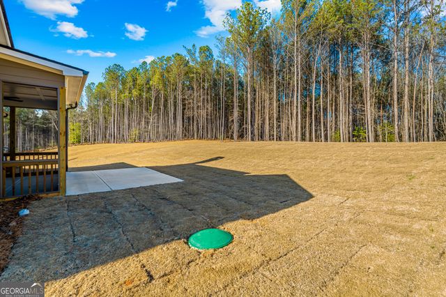 1139 Cherry Bark Court, Loganville, GA 30052