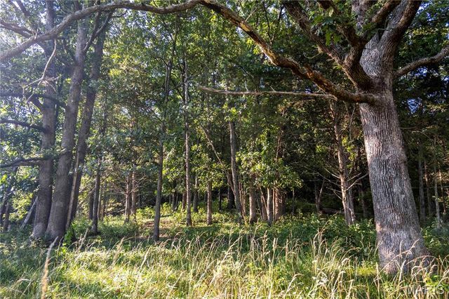 161 Van Booven Lane, Hermann, MO 65041