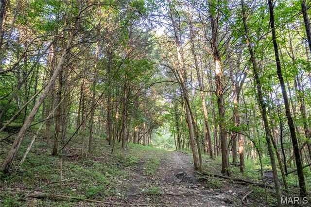 161 Van Booven Lane, Hermann, MO 65041