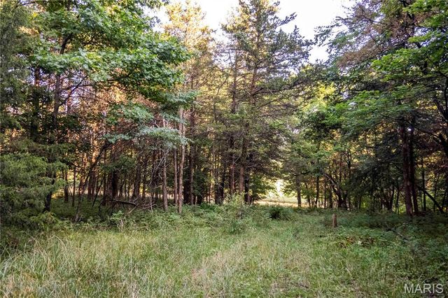 161 Van Booven Lane, Hermann, MO 65041