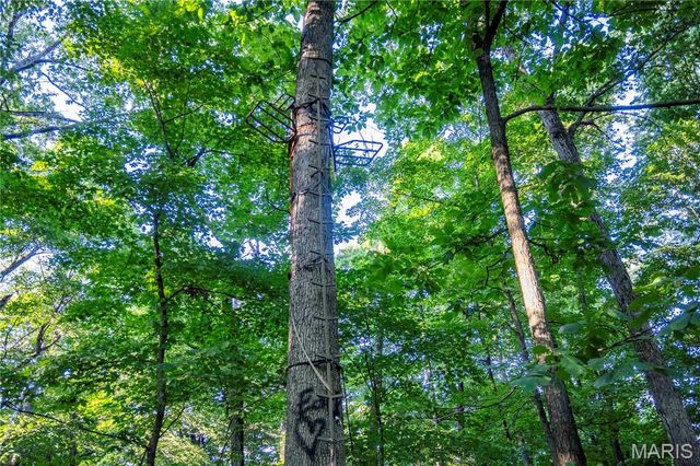 161 Van Booven Lane, Hermann, MO 65041