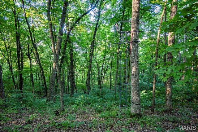 161 Van Booven Lane, Hermann, MO 65041